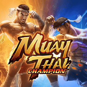 Muay Thai Champion