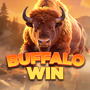 Buffalo Win