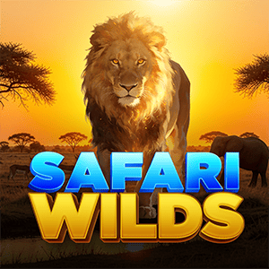 Safari Wilds
